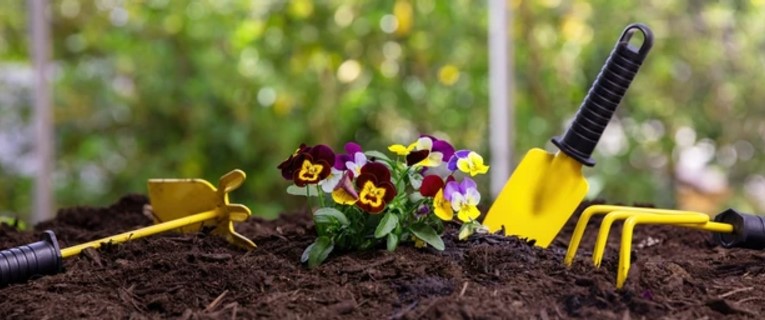 Gartenwerkzeugstiele Verkäufe 2025 -Gartenwerkzeugstiele Verkäufe 2025 banner256